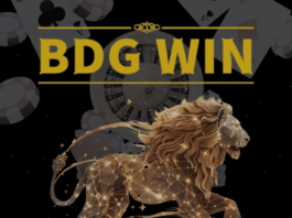 BDG game app download